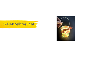 Skelettblätterlicht