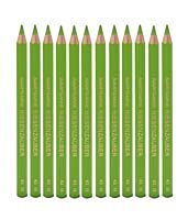 Riesenzauber Farbstift Lackiert Gelbgrün, Set 12