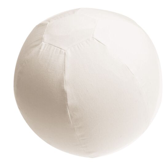 Ballonhülle