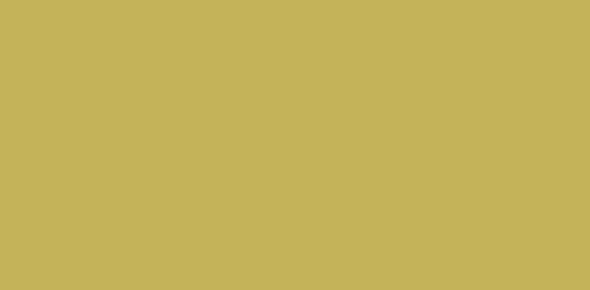 Fotokarton Gold 300 g, 50x70 cm, 10Bl Set 10