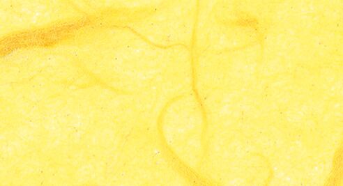 Strohseide, Bananengelb, Set 10