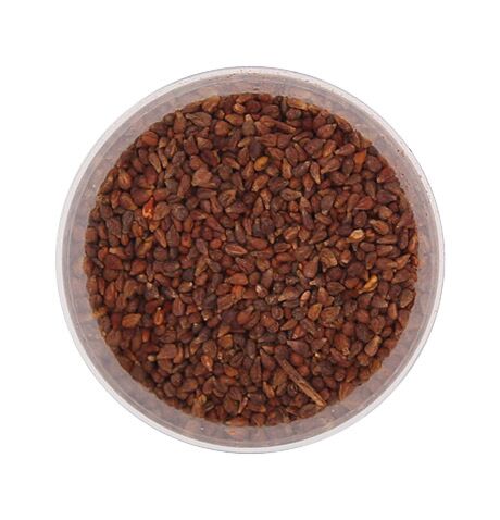 Traubenkerne 2 kg
