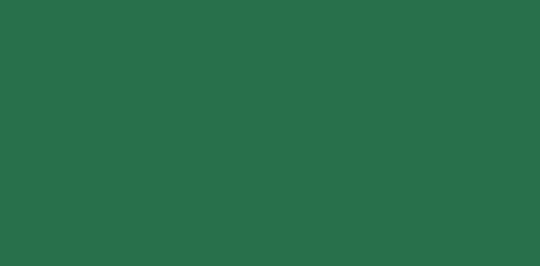 Tonzeichenpapier Tannengrün 130 g, 50 x70 cm Set 10